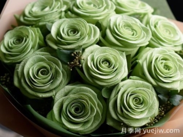 苏格兰复古绿玫瑰，绿色魅力的神秘诠释